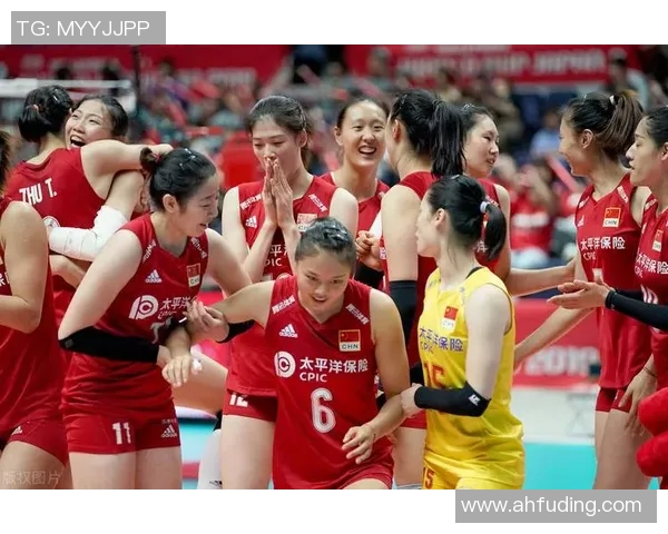 排球战术分析揭晓北京排球队荣登第九名榜单