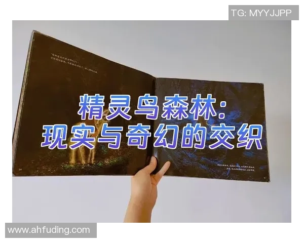 叠蜃闱中的梦幻世界与现实交织的奇妙旅程探寻