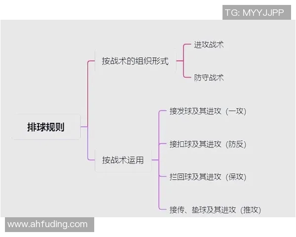 排球新手必看：快速掌握基础技巧与战术的全面指南