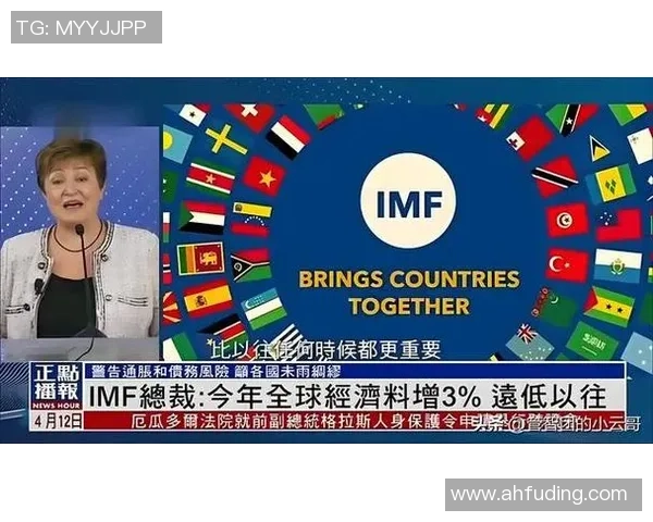 深度对话：探索杨芳在CSGO世界中的成长与挑战之路