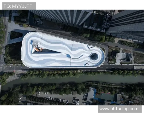 杭州乒乓球队的逆袭之旅全景纪实与奋斗精神的真实写照